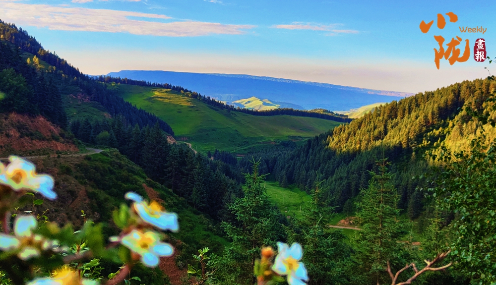 肅南 一眼心動 祁連山秋日的配色太美了！